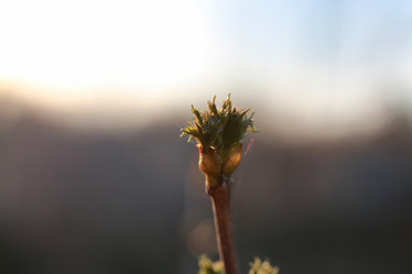 Similar image 20049647