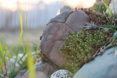 Similar image 20049655