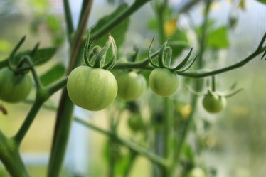 Similar image 20049656