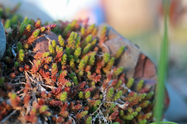 Similar image 20049657