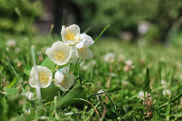 Similar image 20049660