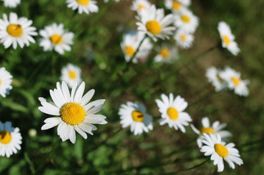 Similar image 20049661