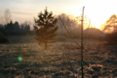 Similar image 20049662