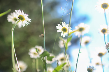 Similar image 20049665