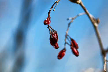 Similar image 20049667