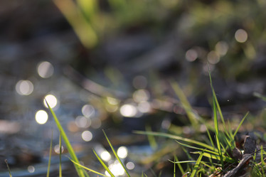 Similar image 20049694