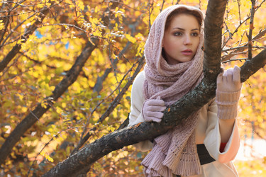 Similar image 20049706