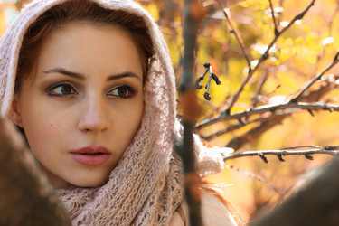 Similar image 20049717