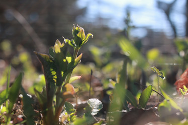 Similar image 20049745