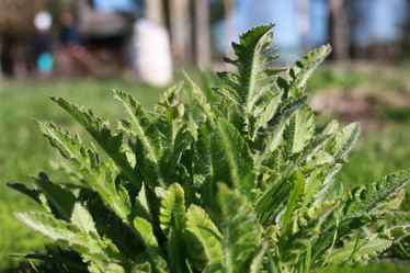 Similar image 20049749