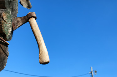 Similar image 20049761