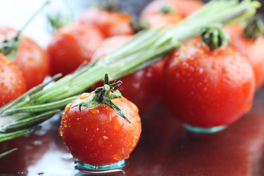 Similar image 20049762