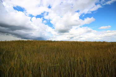 Similar image 20049774