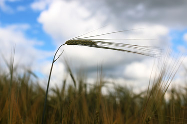 Similar image 20049781