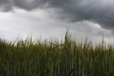 Similar image 20049783