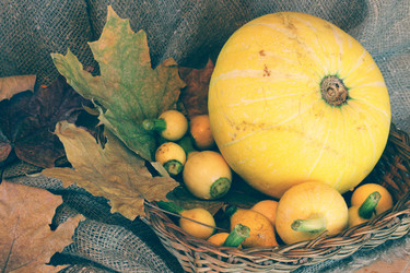 Similar image 20049785