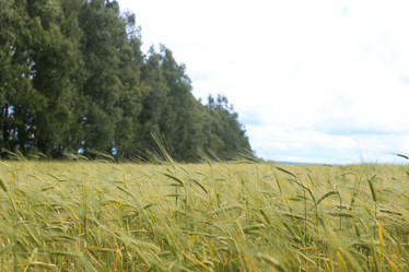 Similar image 20049792