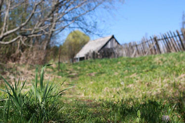 Similar image 20049795