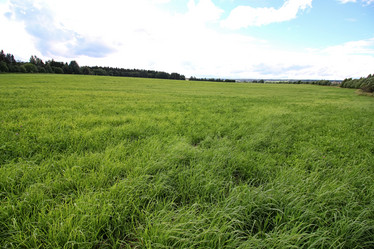 Similar image 20049797