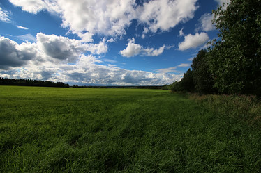 Similar image 20049806