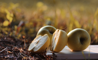 Similar image 20049813