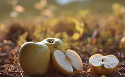 Similar image 20049814