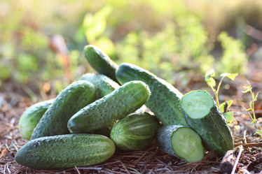 Similar image 20049815