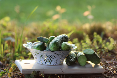 Similar image 20049816