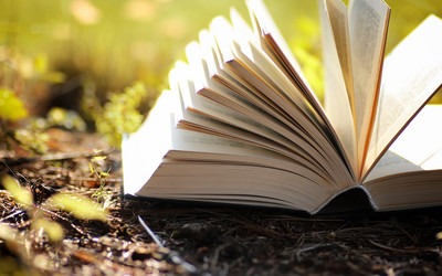 Similar image 20049818