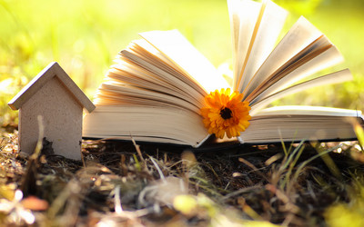 Similar image 20049819