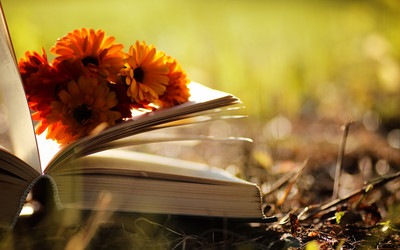 Similar image 20049820