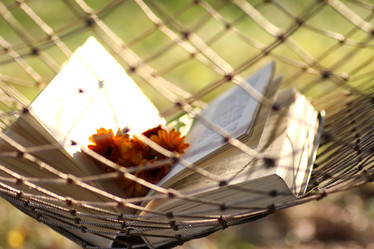 Similar image 20049821