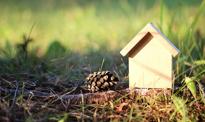 Similar image 20049828