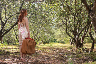 Similar image 20049832