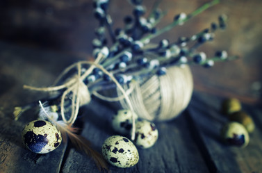 Similar image 20049864