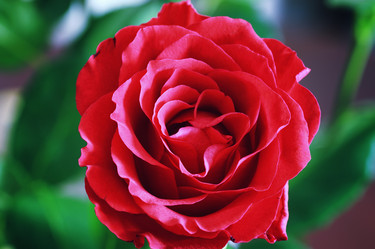 Similar image 20049865