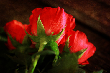 Similar image 20049866