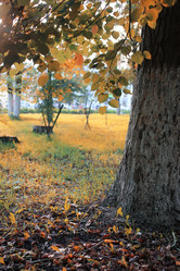 Similar image 20049870