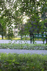 Similar image 20049873