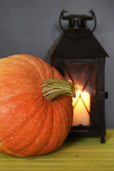 Similar image 20049876