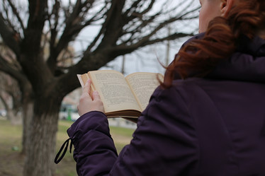 Similar image 20049884