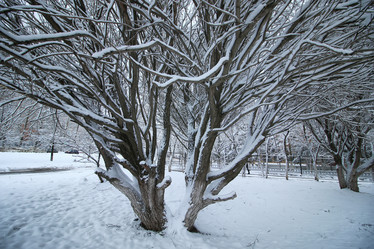 Similar image 20049913