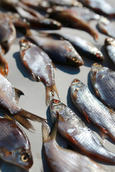 Similar image 20049928