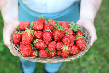 Similar image 20049930