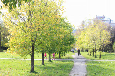 Similar image 20049936