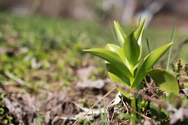 Similar image 20049937