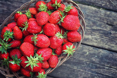 Similar image 20049942