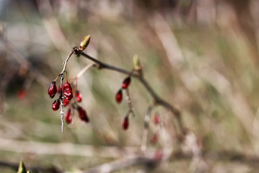 Similar image 20049944