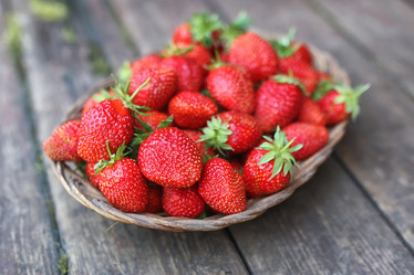 Similar image 20049946