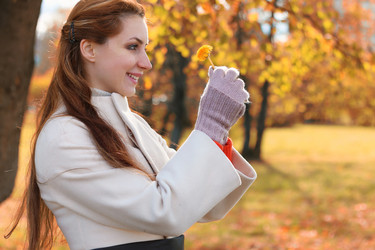 Similar image 20049950